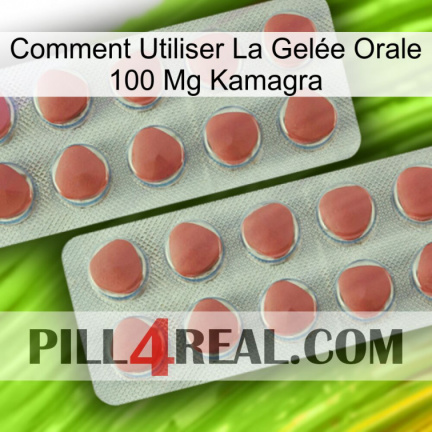 Comment Utiliser La Gelée Orale 100 Mg Kamagra 19